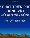 Bài giảng Sự phát triển phôi ở động vật có xương sống - ThS. Đỗ Thanh Tuấn