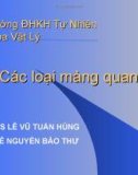 Bài thuyết trình Các loại màng quang học - Lê Nguyễn Bảo Thư