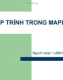 Bài giảng Maple: Bài 8 - Lê Minh Trung