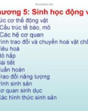 Bài giảng Sinh học đại cương: Chương 5 - Nguyễn Thị Diệu Hạnh