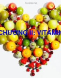 Bài giảng Chương 2: Vitamin