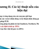 Bài giảng Công nghệ sinh học đại cương: Chương 2 - Nguyễn Thị Phương Thảo (p3)