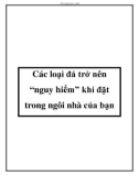 Các loại đá trở nên 'nguy hiểm' khi đặt trong ngôi nhà của bạn