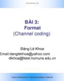 Format (Channel coding )