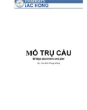 MỐ TRỤ CẦU