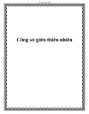 Công sở giữa thiên nhiên