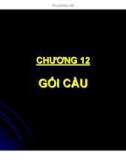 BÀI GIẢNG - GỐI CẦU