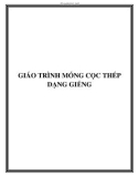 GIÁO TRÌNH MÓNG CỌC THÉP DẠNG GIẾNG