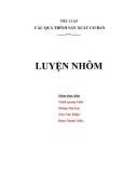 Tiểu luận Các quá trình sản xuất cơ bản - Luyện nhôm