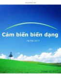 Cảm biến biến dạng