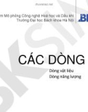 Bài giảng Các dòng: Dòng vật liệu, dòng năng lượng