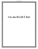 Cây nho ĐÁ QUÝ ĐẠI