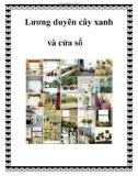 Lương duyên cây xanh và cửa sổ