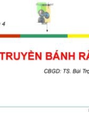 Bài giảng Chi tiết máy(Ts.Bùi Trọng Hiếu) - Chương 4 Bộ truyền bánh răng