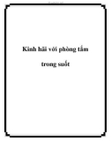 Kinh hãi với phòng tắm trong suốt