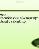 Bài giảng Sinh lý học thực vật: Chương 7 - TS. Trần Thế Hùng