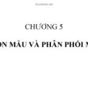 Lý thuyết xác suất thống kê - CHƯƠNG 5: CHỌN MẪU VÀ PHÂN PHỐI MẪU