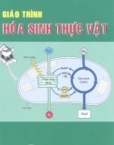 Giáo trình hóa sinh thực vật - Trần Thị Lệ