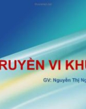 Bài giảng Sinh học phân tử: Di truyền vi khuẩn - Nguyễn Thị Ngọc Yến