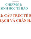 Bài giảng Sinh học di truyền: Chương 1 - Sinh học tế bào