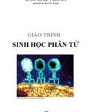 GIÁO TRÌNH SINH HỌC PHÂN TỬ - CHƯƠNG 2: SINH HỌC PHÂN TỬ