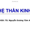 HỆ THẦN KINH - GVGD: TS. Nguyễn Dương Tâm Anh