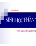 Bài giảng sinh học phân tử - ThS Nguyễn Khánh Linh