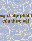 Bài giảng Sinh học đại cương (Phần 3): Chương 13 - ThS. Võ Thanh Phúc