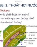 Bài giảng Bài 3: Thoát hơi nước