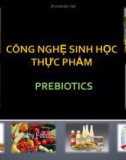 Bài giảng Công nghệ sinh học thực phẩm: Chương 4(5) - ThS. Phạm Hồng Hiếu