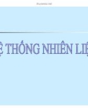 Hệ thống nhiên liệu động cơ và chức năng