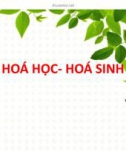 Bài giảng Hóa học - Hóa sinh