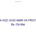 Bài giảng Hóa học Acid amin và protein - BS. Chi Mai