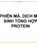 Bài giảng Phiên mã, dịch mã, sinh tổng hợp protein