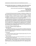 Thành phần hoá học của tinh dầu loài cơm nguội đá (Glycosmis mauritiana Ridl.) ở Vườn Quốc gia Pù Mát