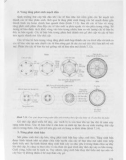 Sinh học phát triển thực vật part 9