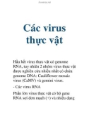 Các virus thực vật