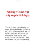 Những vi sinh vật xây mạch tích hợp.