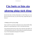 Các bước cơ bản của phương pháp tách dòng