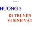 CHƯƠNG 5. DI TRUYỀN VI SINH VẬT