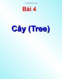 Bài giảng Lý thuyết đồ thị - Bài 4: Cây (Tree)