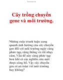 Cây trồng chuyển gene và môi trường.