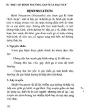 Sổ tay Nghề nuôi gà H'Mông và gà ác: Phần 2