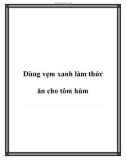 Dùng vẹm xanh làm thức ăn cho tôm hùm