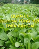 Quản lý dịch hại tổng hợp trên cây cải ( Nguyễn Văn Thiệu)