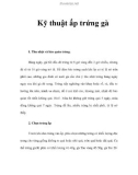 Kỹ thuật ấp trứng gà