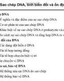 Bài giảng Di truyền học và sinh học phân tử: Chương 3 - Sao chép DNA, tính biến đổi và ổn định của DNA