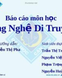 Báo cáo môn học: Công Nghệ Di Truyền