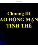 Bài giảng Cơ sở vật lý chất rắn: Chương 3 - ThS. Vũ Thị Phát Minh