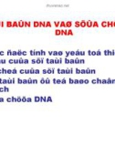 Tái bản DNA và sửa chữa DNA